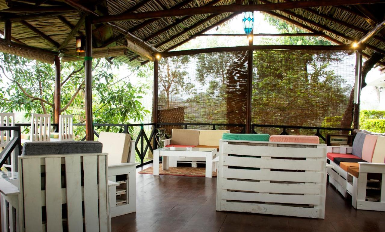 Homies Place - Bistro Bandarawela Dış mekan fotoğraf